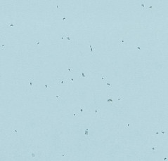 Линолеум Forbo Sphera Energetic 50239 ice фото 1 | FLOORDEALER